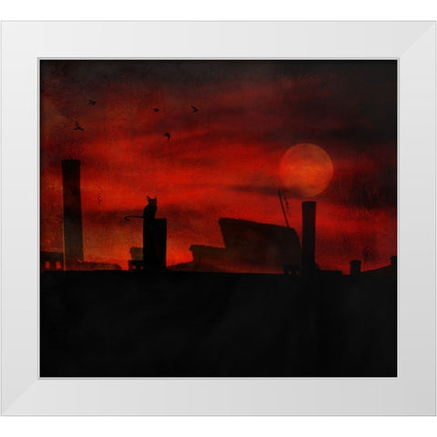 Cat Stories White Modern Wood Framed Art Print by Robert