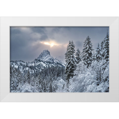 The alpine freshness White Modern Wood Framed Art Print by Gialopoulos, Anastasios