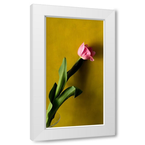 Tulip1 White Modern Wood Framed Art Print by De Malleray, Delphine