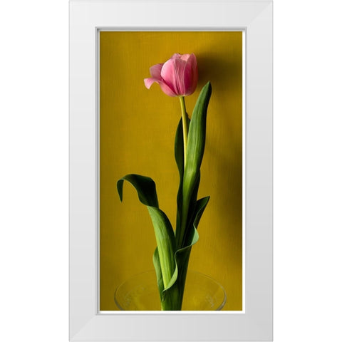 Tulip2 White Modern Wood Framed Art Print by De Malleray, Delphine