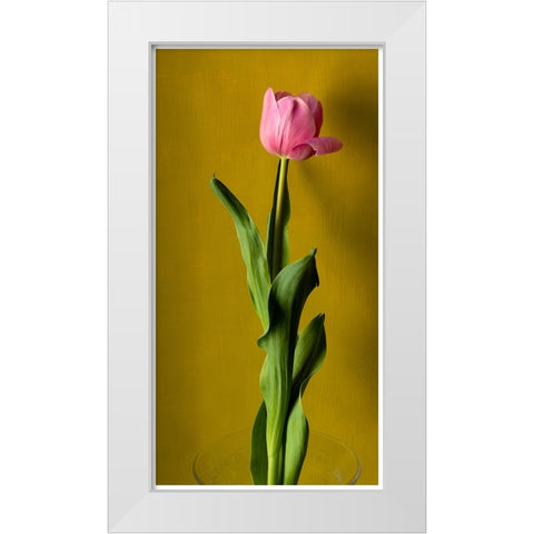 Tulip3 White Modern Wood Framed Art Print by De Malleray, Delphine