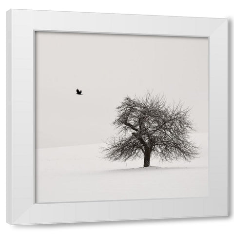Old Cherry Tree White Modern Wood Framed Art Print by Weisbek, Lena