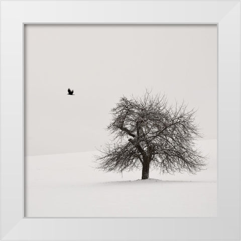 Old Cherry Tree White Modern Wood Framed Art Print by Weisbek, Lena