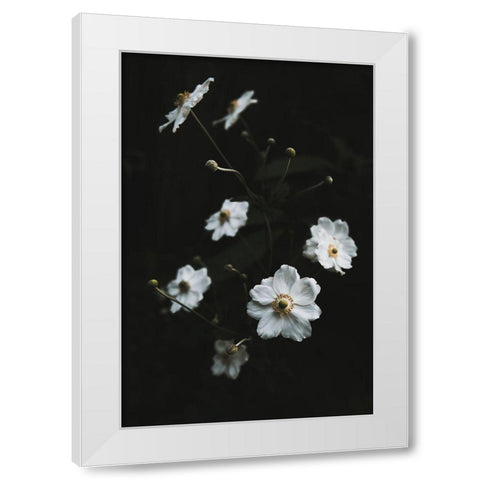 White Flowers White Modern Wood Framed Art Print by Mossholder, Tim