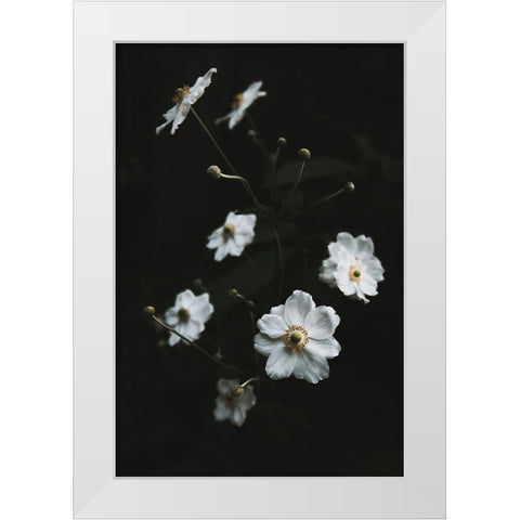White Flowers White Modern Wood Framed Art Print by Mossholder, Tim