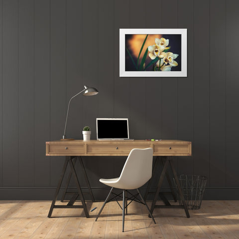 Orchids White Modern Wood Framed Art Print by Mossholder, Tim