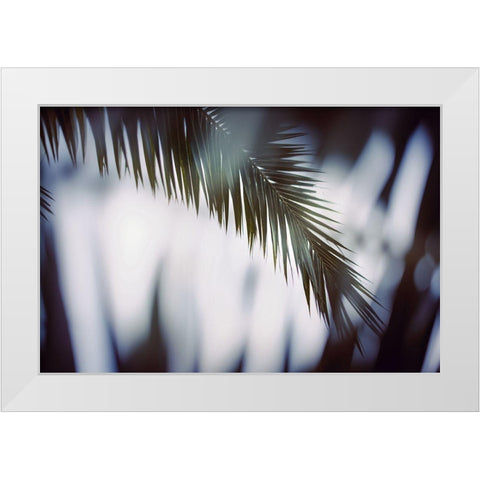 Palm Branches White Modern Wood Framed Art Print by Mossholder, Tim