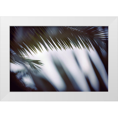 Palm Branches White Modern Wood Framed Art Print by Mossholder, Tim