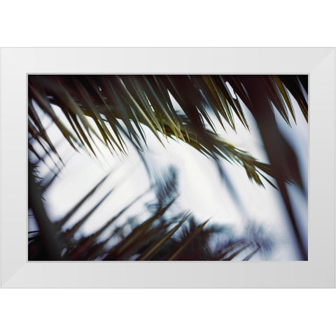 Palm Branches White Modern Wood Framed Art Print by Mossholder, Tim