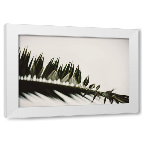 Palm Branches White Modern Wood Framed Art Print by Mossholder, Tim
