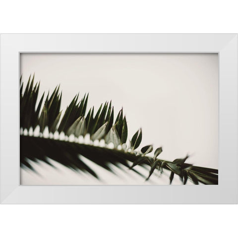 Palm Branches White Modern Wood Framed Art Print by Mossholder, Tim