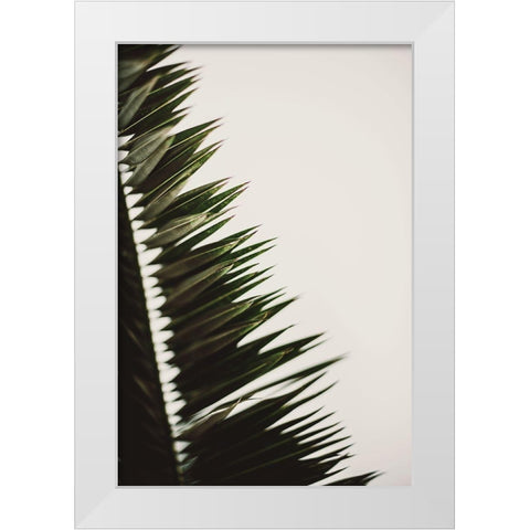 Palm Branches White Modern Wood Framed Art Print by Mossholder, Tim