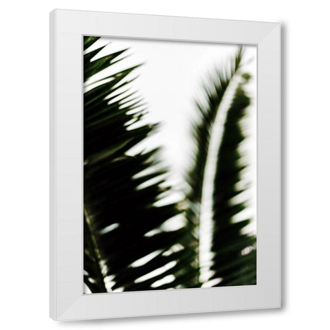 Palm Branches White Modern Wood Framed Art Print by Mossholder, Tim
