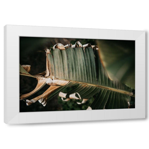 Palm Decay White Modern Wood Framed Art Print by Mossholder, Tim