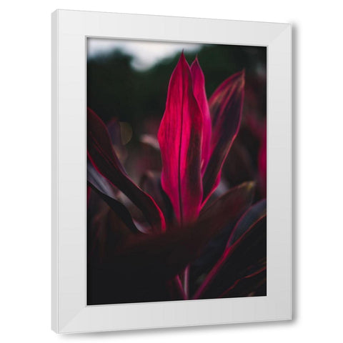 Red Plan at Dusk White Modern Wood Framed Art Print by Mossholder, Tim