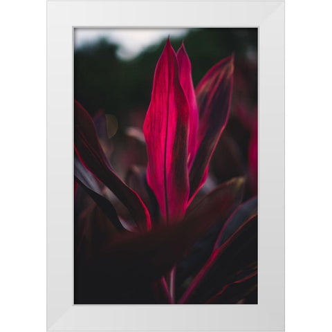 Red Plan at Dusk White Modern Wood Framed Art Print by Mossholder, Tim