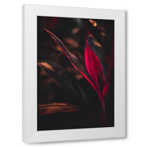 Red Plan at Dusk White Modern Wood Framed Art Print by Mossholder, Tim