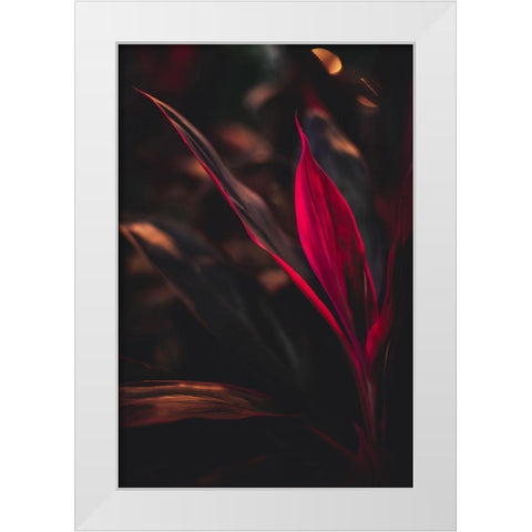 Red Plan at Dusk White Modern Wood Framed Art Print by Mossholder, Tim