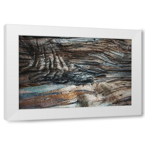 Eucalyptus Texture White Modern Wood Framed Art Print by Mossholder, Tim