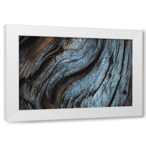 Eucalyptus Texture White Modern Wood Framed Art Print by Mossholder, Tim