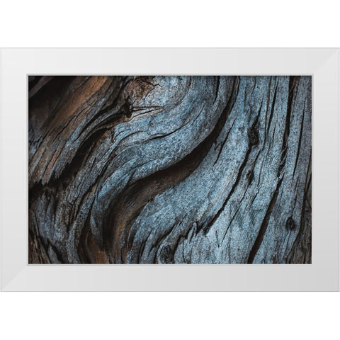 Eucalyptus Texture White Modern Wood Framed Art Print by Mossholder, Tim