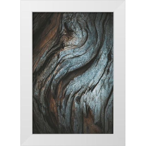 Eucalyptus Texture White Modern Wood Framed Art Print by Mossholder, Tim