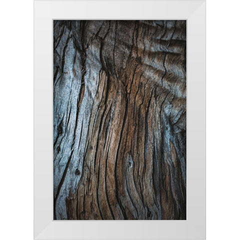 Eucalyptus Texture White Modern Wood Framed Art Print by Mossholder, Tim