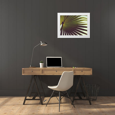 Untitled White Modern Wood Framed Art Print by Mossholder, Tim