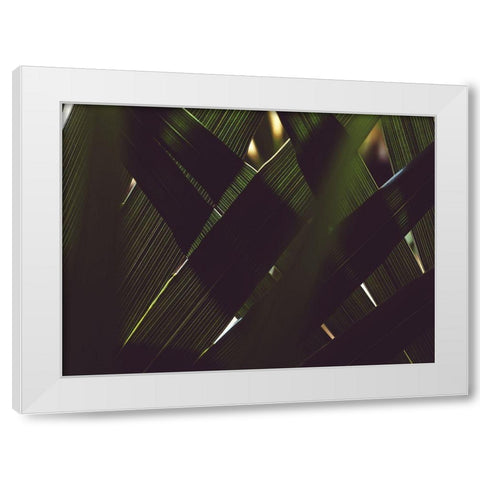 Palm Textures White Modern Wood Framed Art Print by Mossholder, Tim