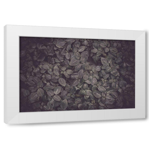 Flora Blanket White Modern Wood Framed Art Print by Mossholder, Tim