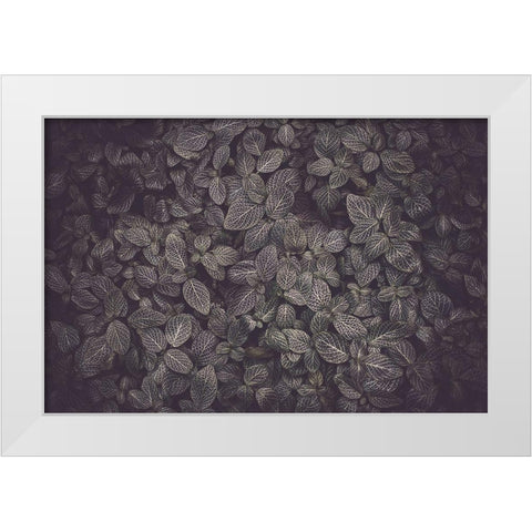 Flora Blanket White Modern Wood Framed Art Print by Mossholder, Tim