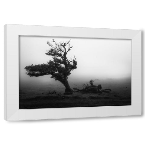 Fanal #2 White Modern Wood Framed Art Print by Moravek, Martin
