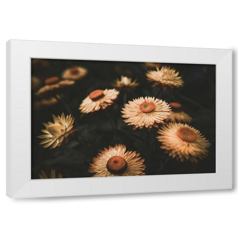 Faded Flowers White Modern Wood Framed Art Print by Mossholder, Tim