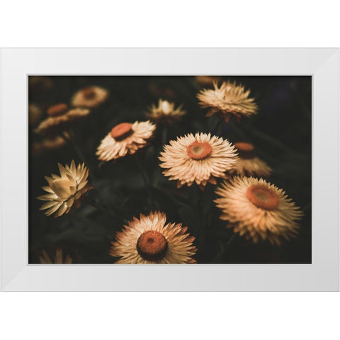 Faded Flowers White Modern Wood Framed Art Print by Mossholder, Tim