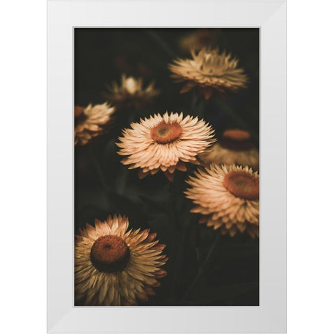 Faded Flowers White Modern Wood Framed Art Print by Mossholder, Tim