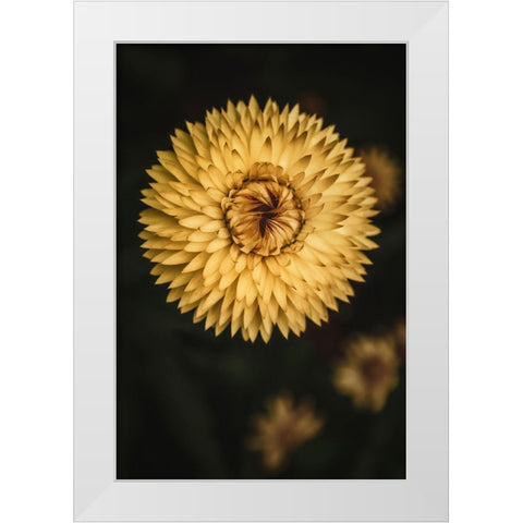 Yellow Floral Texture White Modern Wood Framed Art Print by Mossholder, Tim