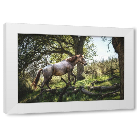 Hillside Horse White Modern Wood Framed Art Print by Mossholder, Tim