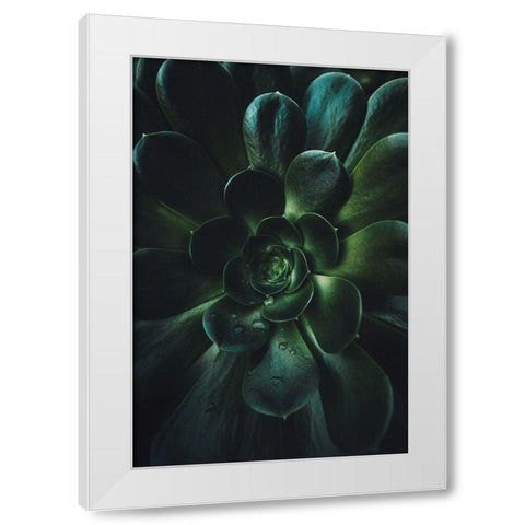 Succulent White Modern Wood Framed Art Print by Mossholder, Tim