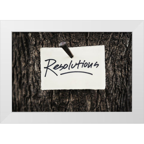 Resolutions White Modern Wood Framed Art Print by Mossholder, Tim