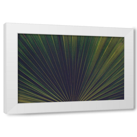 Palm Textures White Modern Wood Framed Art Print by Mossholder, Tim
