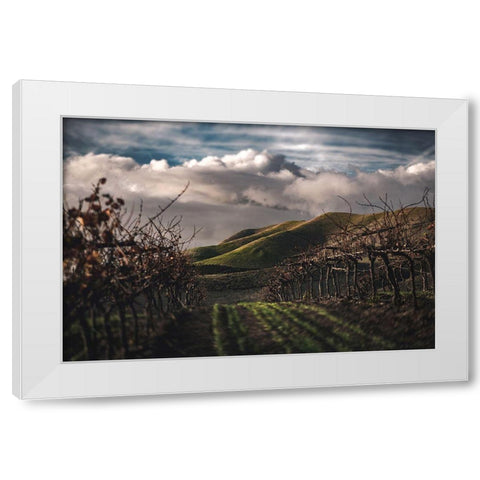 Dark Vineyards White Modern Wood Framed Art Print by Mossholder, Tim