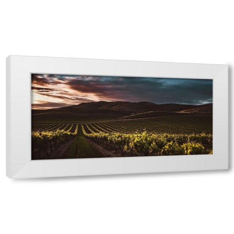 Vineyards White Modern Wood Framed Art Print by Mossholder, Tim