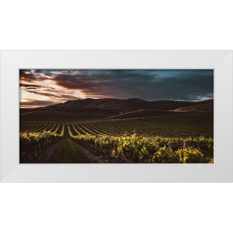 Vineyards White Modern Wood Framed Art Print by Mossholder, Tim