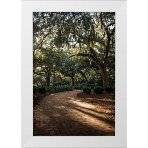 Oaks in Savannah White Modern Wood Framed Art Print by Mossholder, Tim