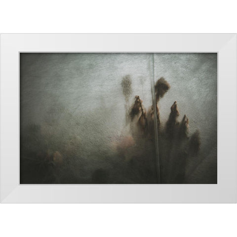 Protected Plants White Modern Wood Framed Art Print by Mossholder, Tim