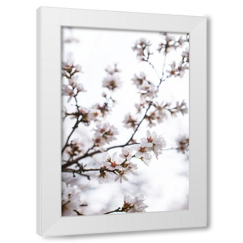 Almond Blossoms White Modern Wood Framed Art Print by Mossholder, Tim