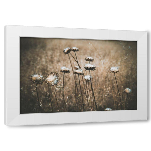 Weedy White Modern Wood Framed Art Print by Mossholder, Tim