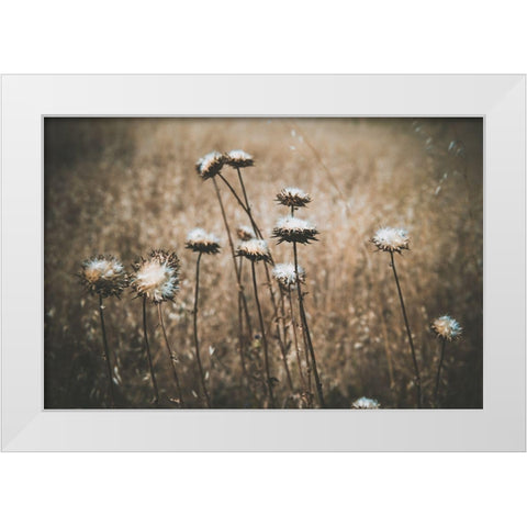 Weedy White Modern Wood Framed Art Print by Mossholder, Tim