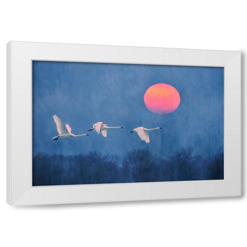 Foggy Sunrise White Modern Wood Framed Art Print by Li, Rob
