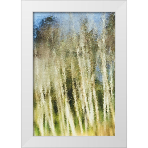 Acrylic Light White Modern Wood Framed Art Print by Saito, Misaki
